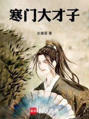 寒门大才子