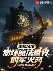 霍格沃茨：崩坏魔法世界的制杖师